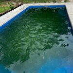 Before Pool Cleaning