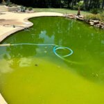 Before Pool Cleaning